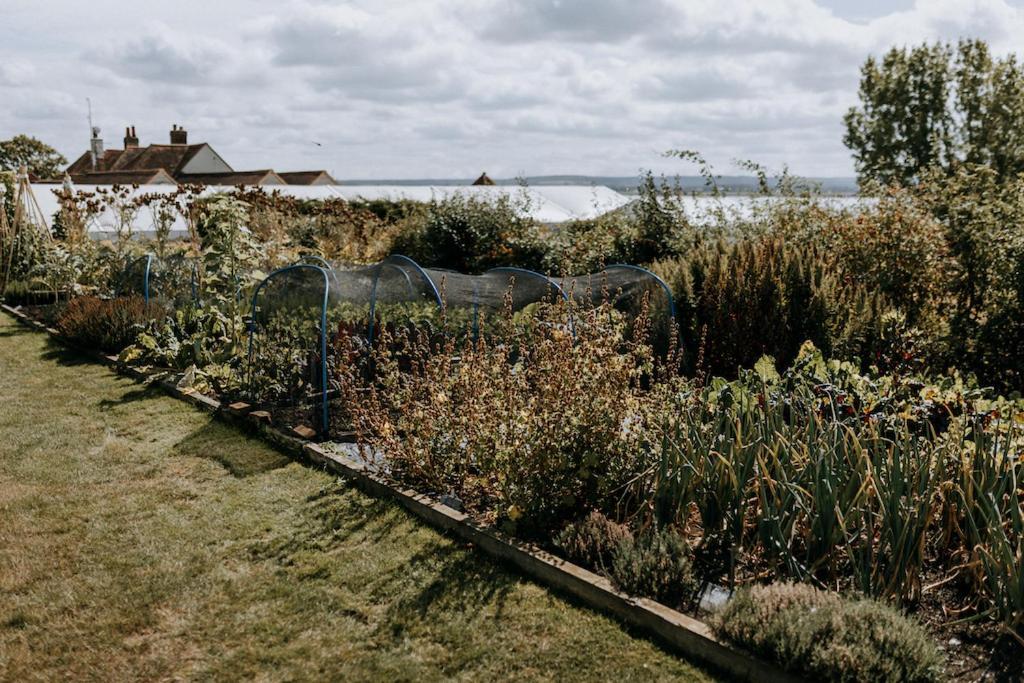 The Ferry House Bed and Breakfast Eastchurch Buitenkant foto